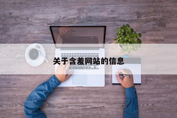 关于含羞网站的信息