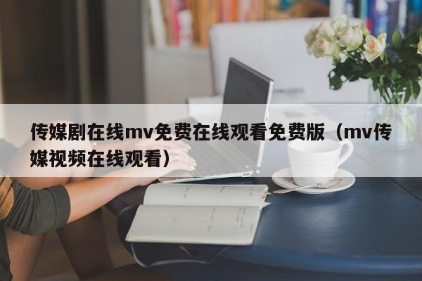 传媒剧在线mv免费在线观看免费版(mv传媒视频在线观看)