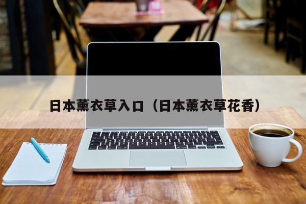 日本薰衣草入口(日本薰衣草花香)
