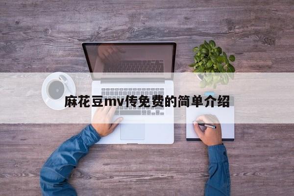 麻花豆mv传免费的简单介绍